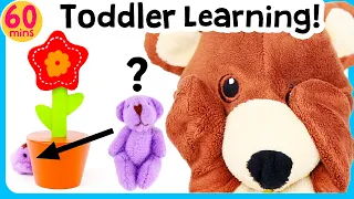 Toddler toys Learning | Hide & Seek + more! Learning videos for Babies, 2 year old, 3 & 4 year olds