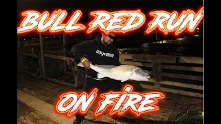 Catching A TON of BULL Redfish: Galveston FIshing