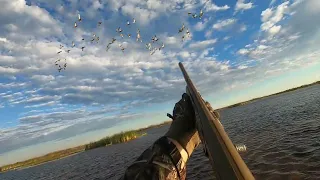 Duck Hunting the cold front in south Florida