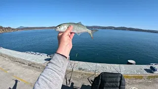 Fishing a New Spot in Eden NSW