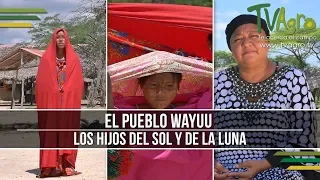 El Pueblo Wayuu: Los Hijos del sol y de la Luna - TvAgro por Juan Gonzalo Angel