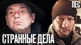 🎬 ЗАГАДОЧНЕ ОБСТОЯТЕЛЬСТВА! Запутанный ДЕТЕКТИВ 2023 - Сериал ПЕС 2023 - Лучшие серии