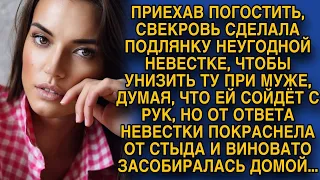 Свекровь сделала подлость невестке и думала ей сойдёт с рук, но невестка не растерялась ...