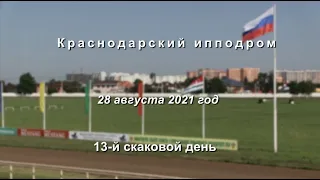 Видео 13 скаковой день   28 08 2021г  Краснодарский ипподром