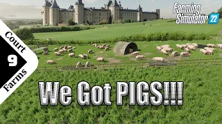 This is too many Pigs!!! - Court Farms Country Park - Episode 9 - Farming Simulator 22