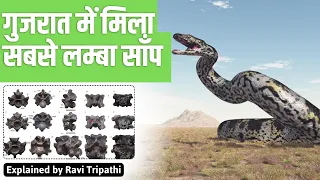 Scientists discover enormous fossil of the world’s 'largest snake’ in Kutch, Gujarat