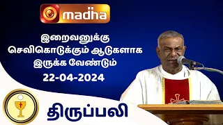 🔴22 APRIL 2024 Holy Mass in Tamil 06:00 PM (Evening Mass) | Madha TV