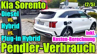 Pendler - Verbrauch Kia Sorento Diesel vs. Hybrid vs. Plug-in Hybrid Test Bericht Verbrauch Kosten