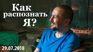 Как распознать Я? Андрей Тирса. Сатсанг 29.07.18. Пробуждение / Просветление