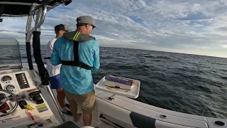 Gulf Fishing out of St Marks FL