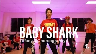 Baby Shark -Dede Sabunge/ Remix Clickmore / Tiffany.X Choreography