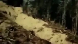 Most Famous Bigfoot Footage