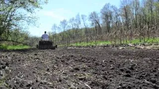 Deer Food Plots in Seven Easy Steps | Tractor Supply Co.