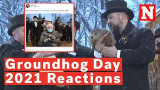 Twitter Reacts To Groundhog Day 2021 As Punxsutawney Phil Predicts 6 More Weeks Of Winter