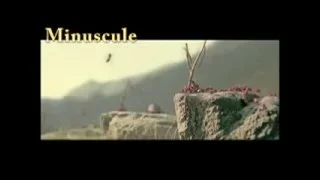 Minuscule Lost Ants Official Trailer Animasyon وادي ضئيلة للمقطورة فقدت النمل الرسمية الدولية