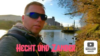 Hecht und Zander angeln