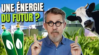 Le biogaz, une solution pour remplacer les énergies fossiles ?