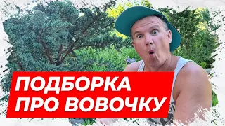 ⚡Анекдоты про Вовочку! Подборка анекдотов про Вовочку №1. Смешные анекдоты!⚡