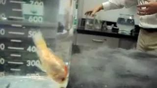 Goldfish in Liquid Nitrogen