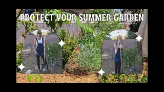 Protect your Summer Food Forest Garden from Blazing Sun plus Garden Tour!