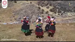 Danza KAJCHAS DE CHITA SEÑALACUY - Tinajani 2021