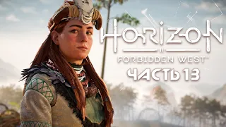 HORIZON FORBIDDEN WEST ★ Полное прохождение ★ Часть 13