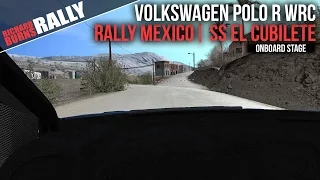 Richard Burns Rally | Volkswagen Polo R WRC at El Cubilete | Rally de Mexico