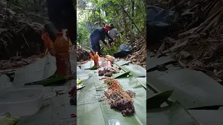 survival skill in jungle 2024