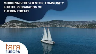 Mobilizing the scientific community for the preparation of the BBNJ treaty