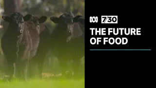 Are plant-based proteins the future of food? | 7.30