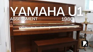 Yamaha U1 Initial Assessment