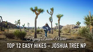 VLOG 177: Top 12 Easy Hikes in Joshua Tree National Park (Southern California)