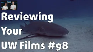 Reviewing YOUR UNDERWATER FILMS #98 ⎮ Chun Yong Chin