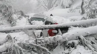 GLOBALink | Death toll of tourists stuck by snow in north Pakistan rises to 22