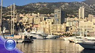 MONACO - MALINA - NE TE ZABRAVYAM / Монако - Малина - Не те забравям,  2018