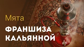 Как открыть кальянную?