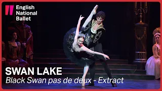 Swan Lake: Odile and Prince Siegfried pas de deux | English National Ballet