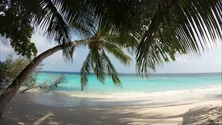 8 hours ocean waves sounds for meditation, deep sleep, relaxing and studying with tropical ambiance