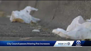 Tougher littering penalties pass City Council