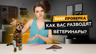 Как ветеринары делают деньги на ваших животных? | SHOT ПРОВЕРКА