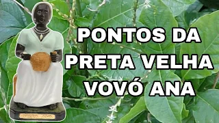 PONTOS DA PRETA VELHA VOVÓ ANA (COM LETRAS) || RICK DE OXUM