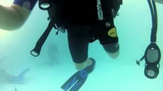 First use of Gopro dive housing