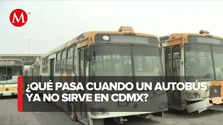 Más de 100 autobuses de RTP serán chatarrizados