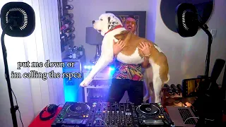 Dog Reacts to Hardstyle