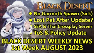 No Garmoth Spawn, Lost Pet? Crossplay SEA & Thai Server (BDO News, 1st Week Aug 2023) Update