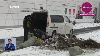 Установлен подозреваемый по делу о незаконной вырубке деревьев на ул. Толе би (25.11.20)