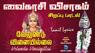 வேலுண்டு வினையில்லை | Velundu Vinaiyillai | Vaikasi Visakam Murugan Song in Tamil | Anush Audio