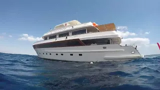 Red sea liveaboard Egypt diving trip 2022