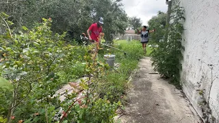 I RISK EVERYTHING mowing this yard AFTER HOMEOWNER LEAVES FOR WORK!