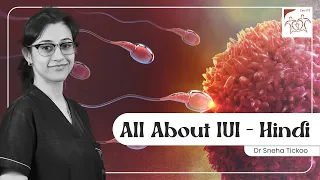 All About IUI | IUI Procedure IUI treatment in hindi IUI success tips Evaluation pregnancy